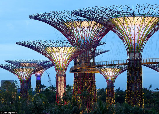 Towering mechanical forest opens later this month in Singapore